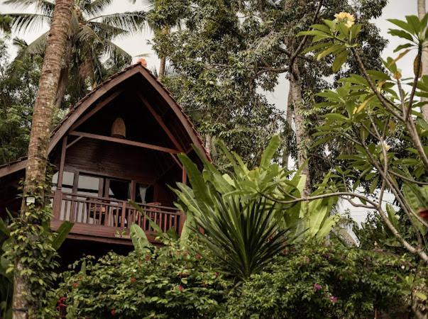 The Jungle Villa *