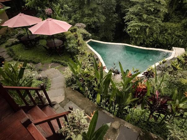 Villa The Jungle *