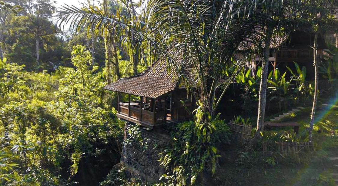 The Jungle Villa Ubud (Bali)