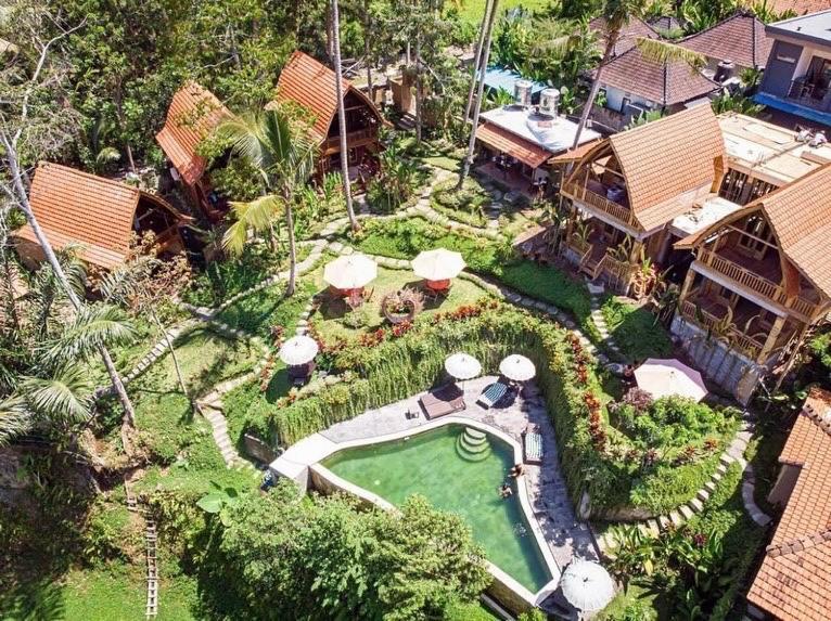 The Jungle Family Villa *