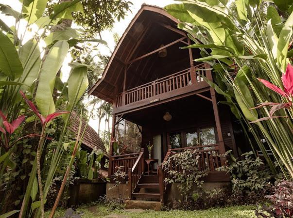 Villa The Jungle Family