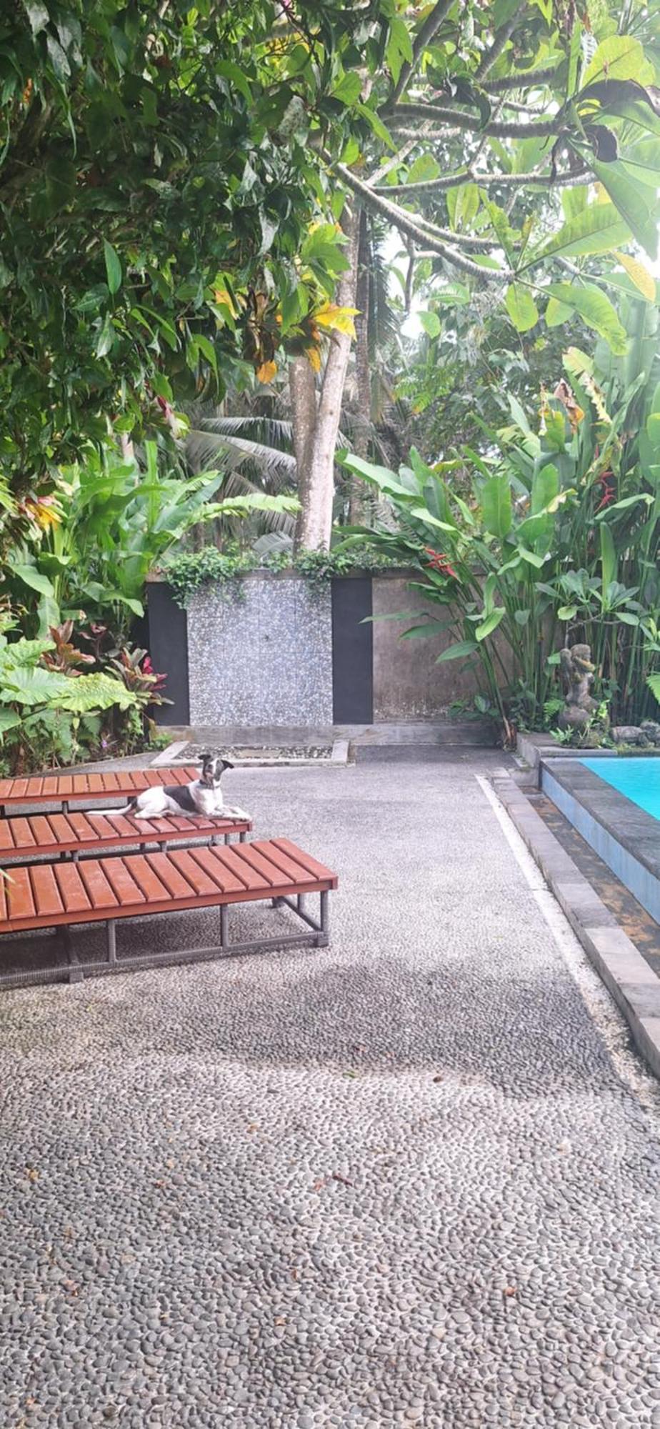 Jungle Hideaway - Newly Renovated Formerly Griya Bunga 2 - Unit 3 Villa Ubud (Bali)