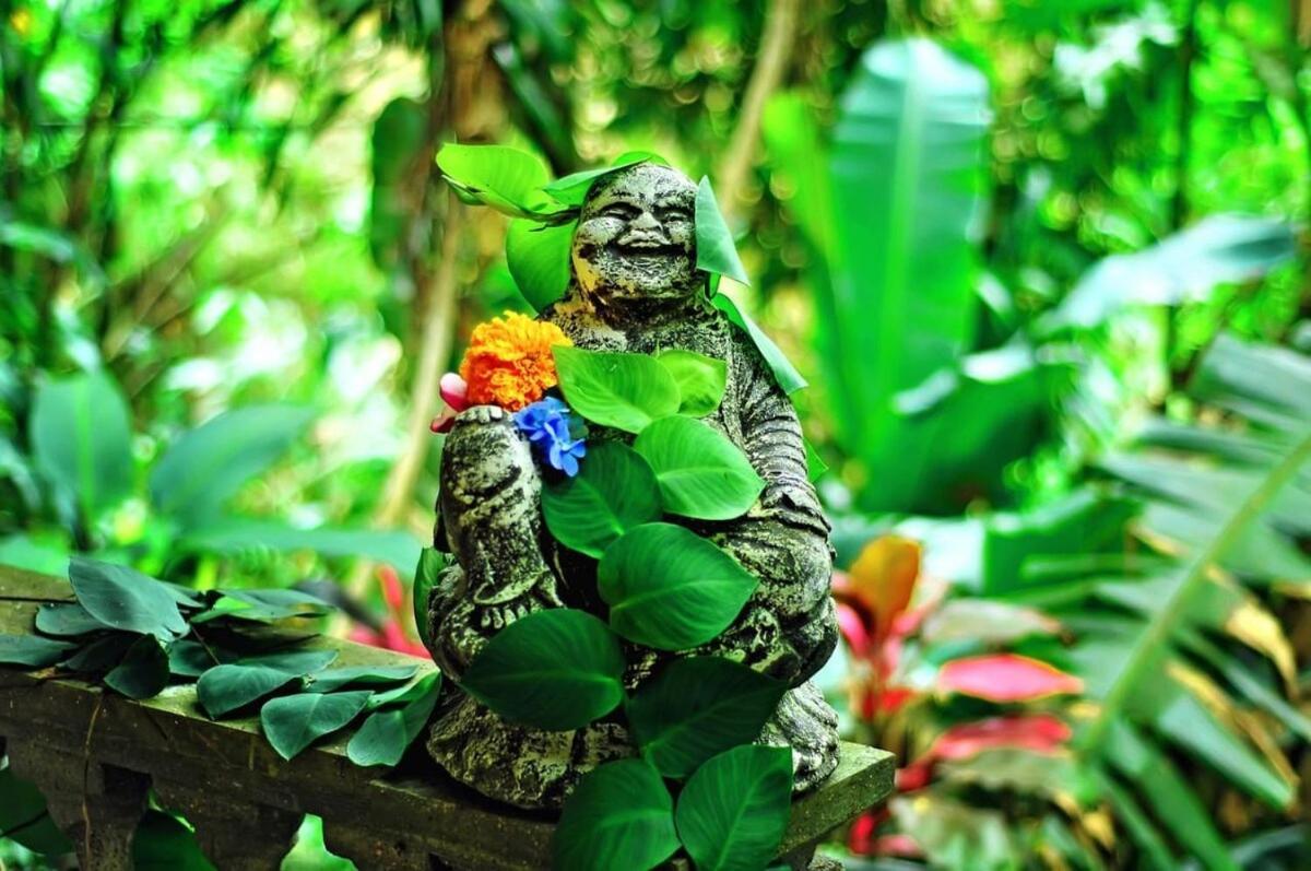 Jungle Hideaway - Newly Renovated Formerly Griya Bunga 2 - Unit 3 Villa Ubud (Bali)