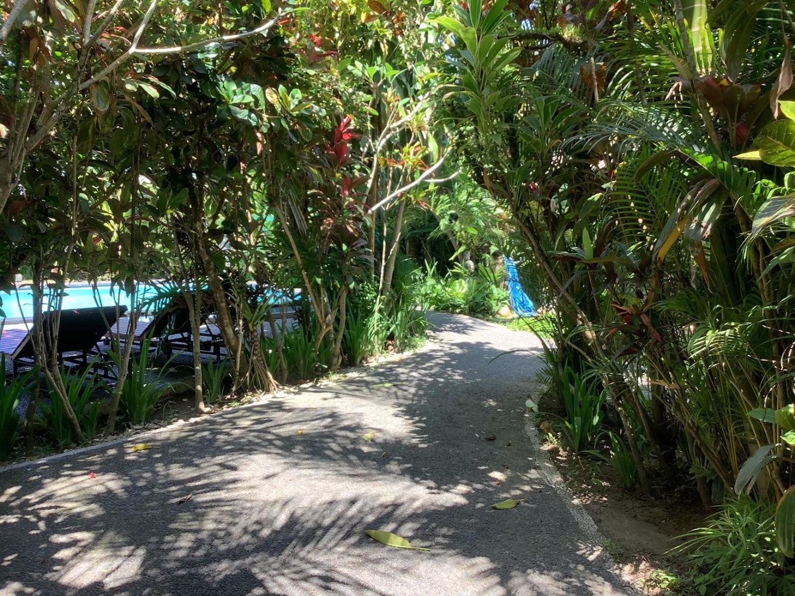 Villa Jungle Hideaway - Newly Renovated Formerly Griya Bunga 2 - Unit 3