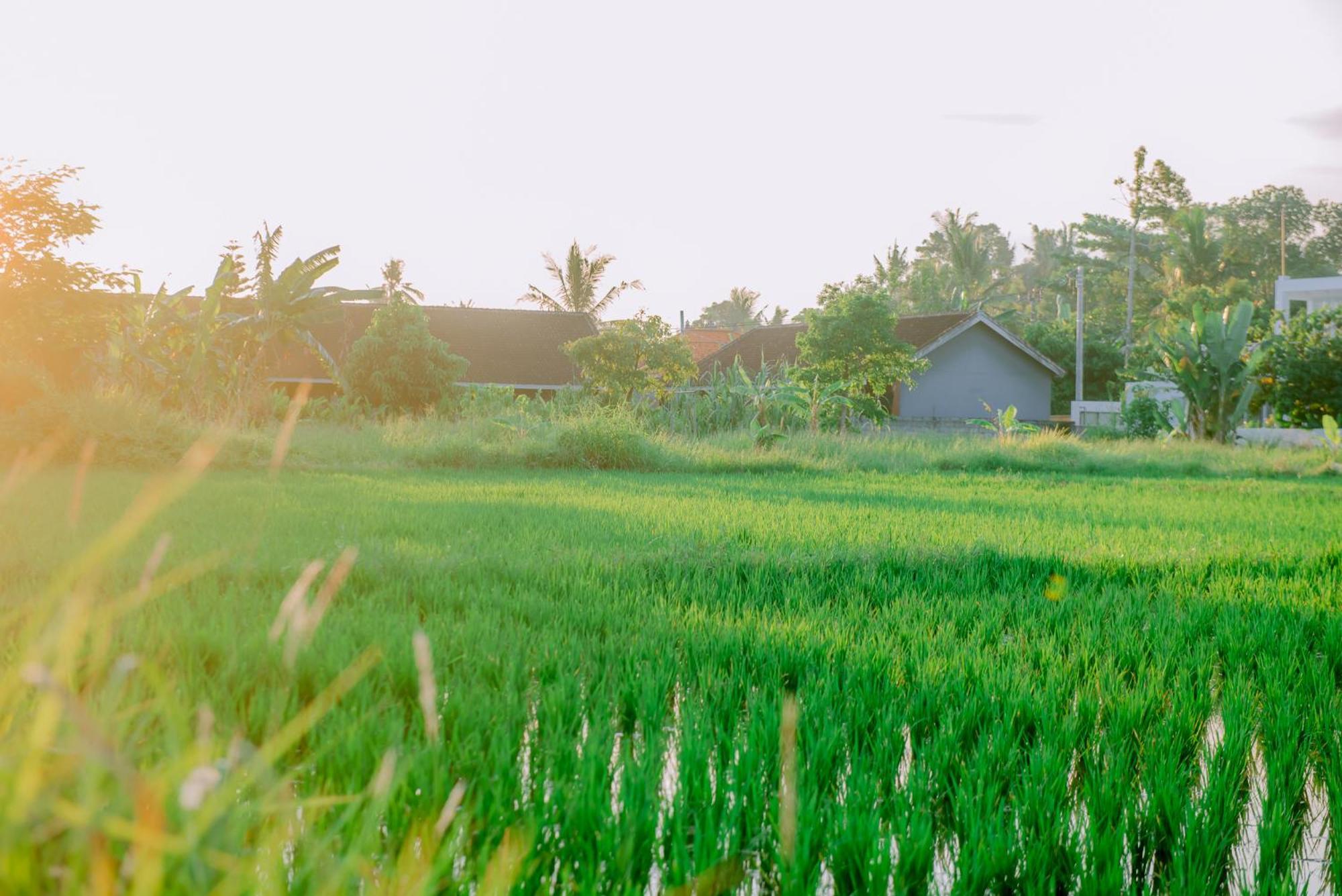 Lavanya * Ubud (Bali)