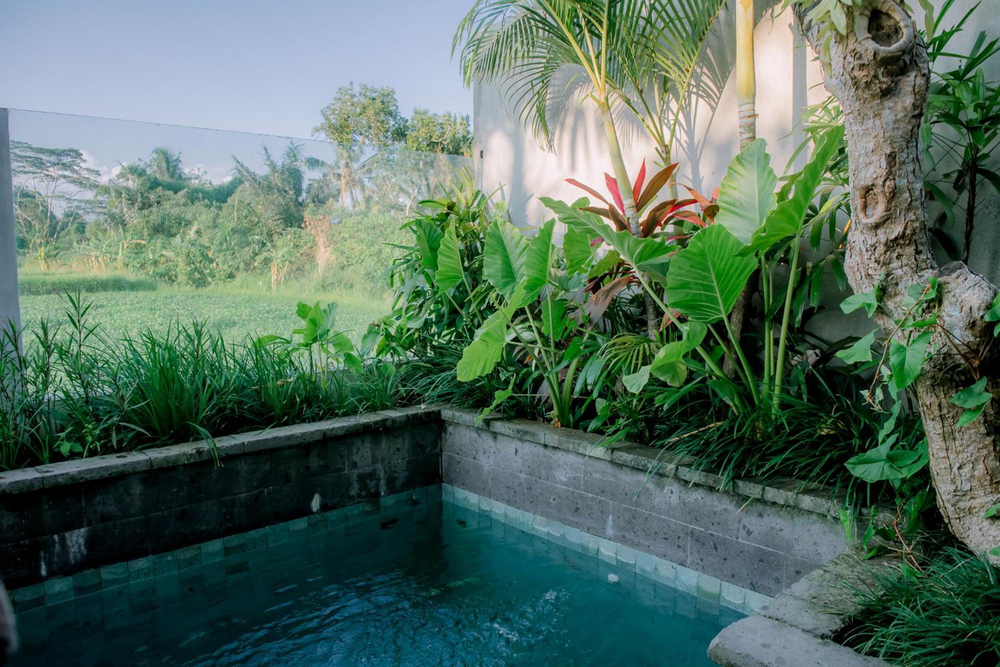 Lavanya Villa *