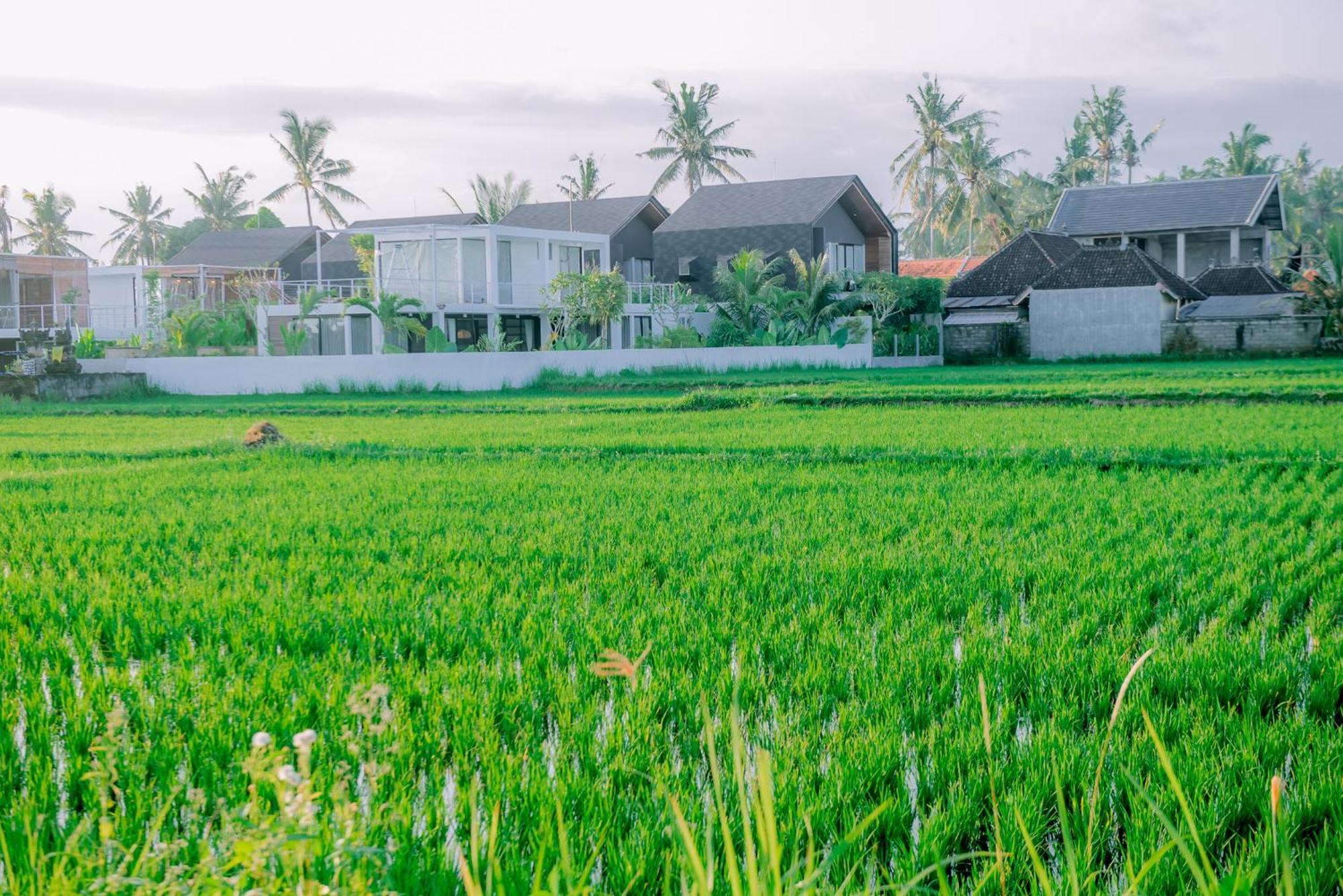 Villa Lavanya