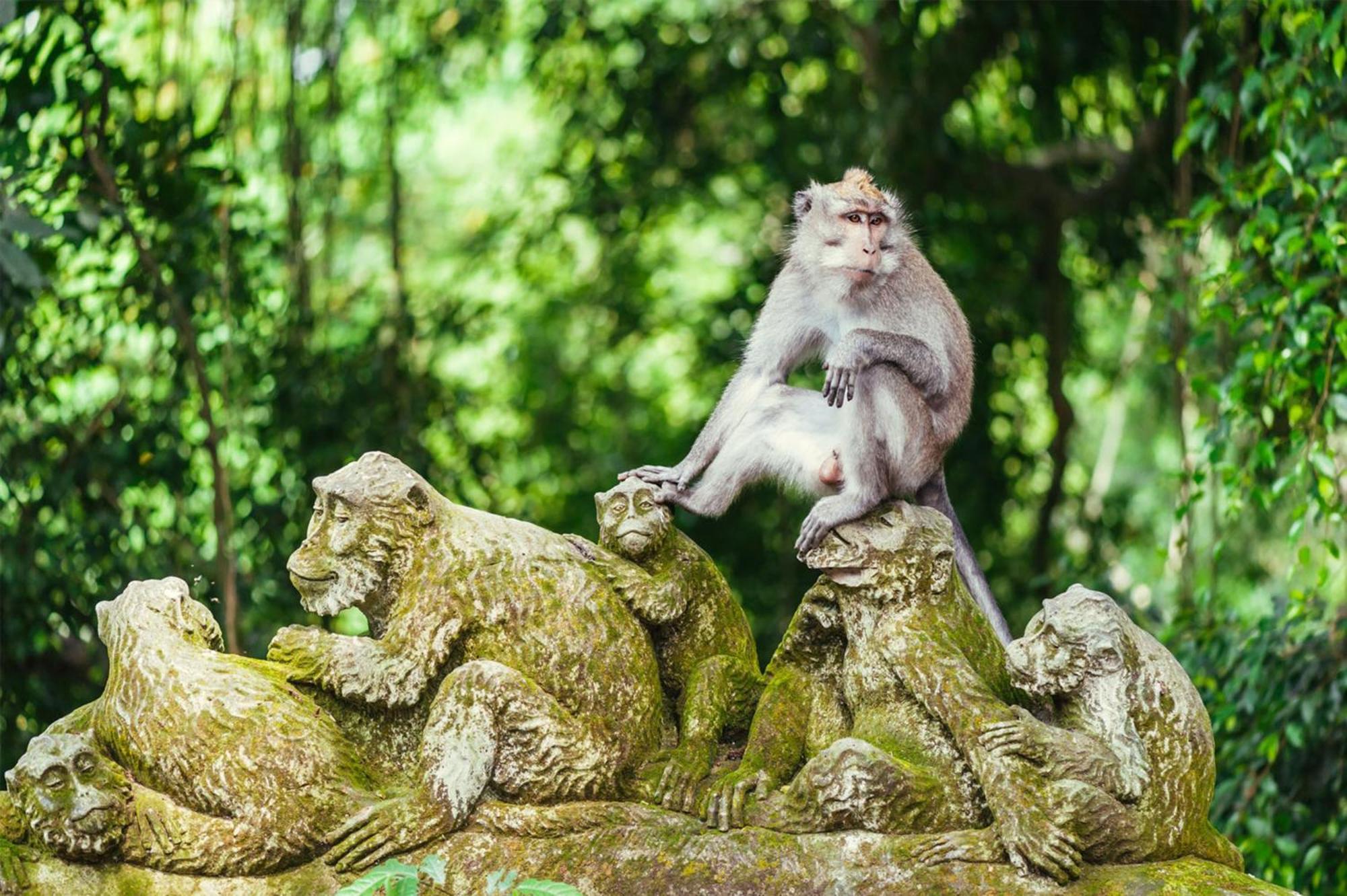Artini Tegalantang-ubud Ubud (Bali)