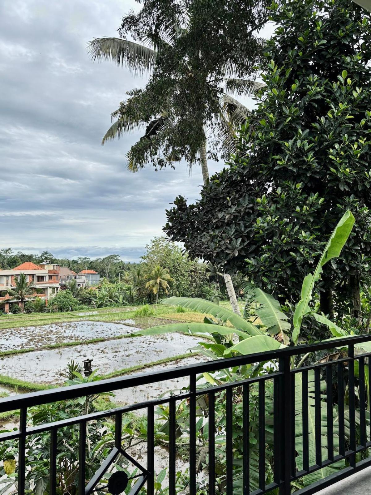 Umah Made Bali & Art Space Privatunterkunft Ubud