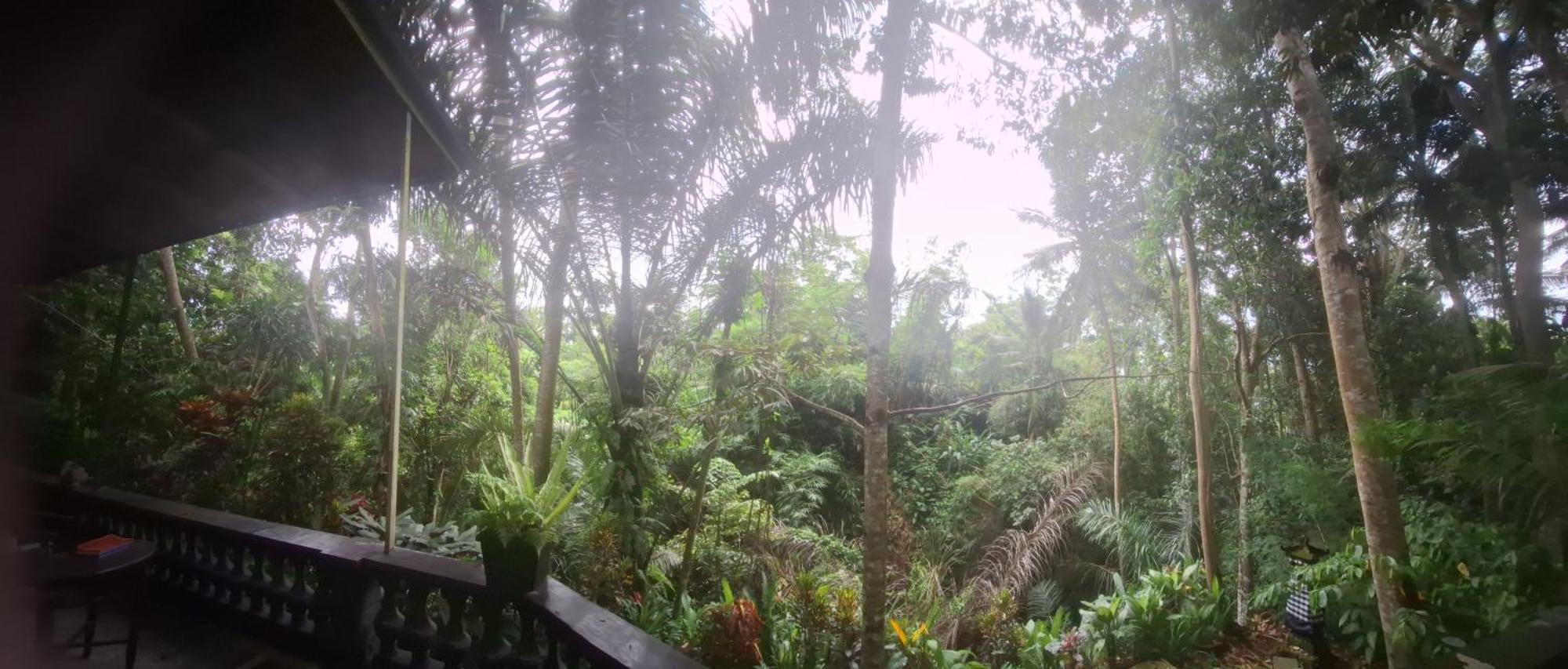 Jungle Hideaway - Newly Renovated Formerly Griya Bunga 2 - Unit 3