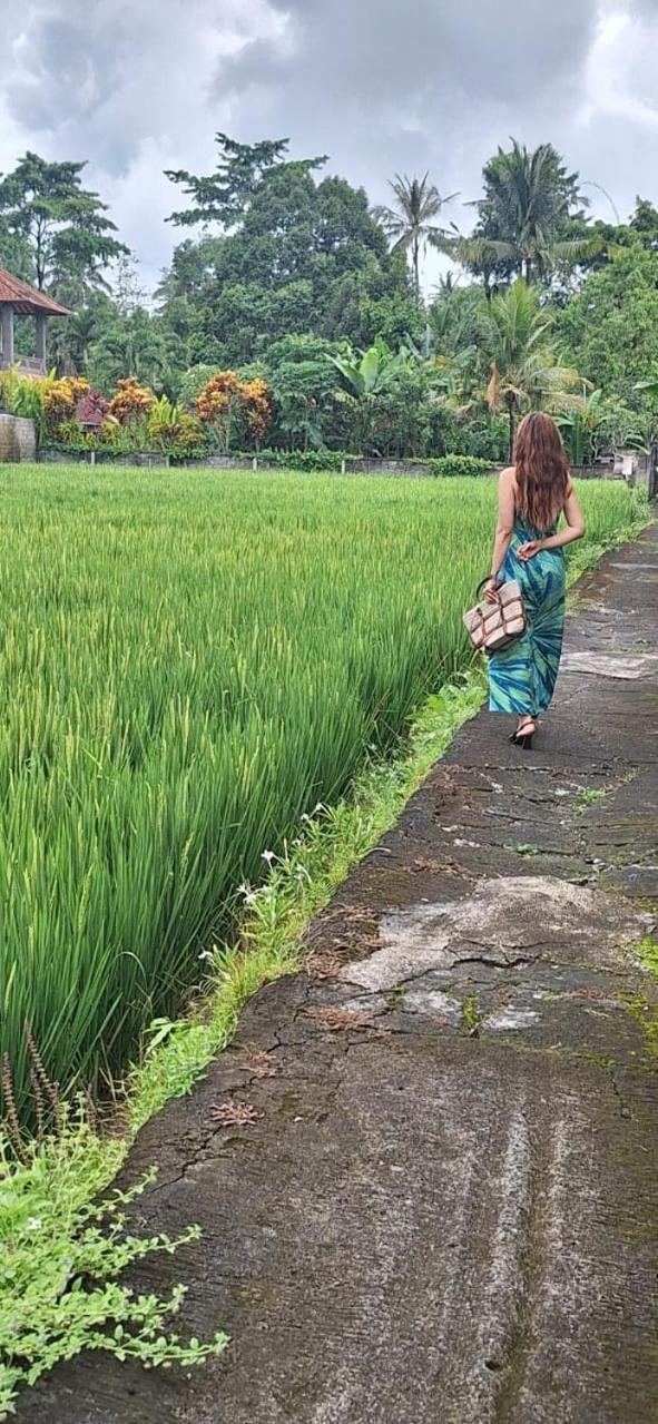 Jungle Hideaway - Newly Renovated Formerly Griya Bunga 2 - Unit 3 * Ubud (Bali)