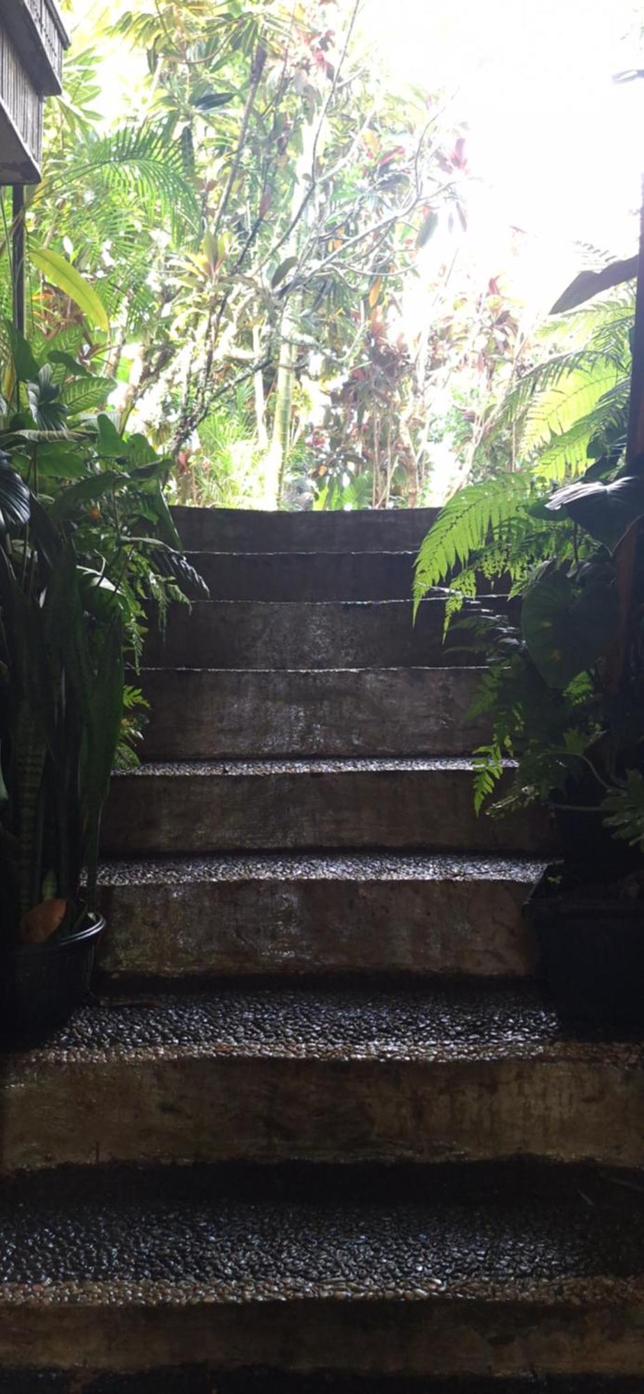 Villa Jungle Hideaway - Newly Renovated Formerly Griya Bunga 2 - Unit 3 Ubud (Bali)
