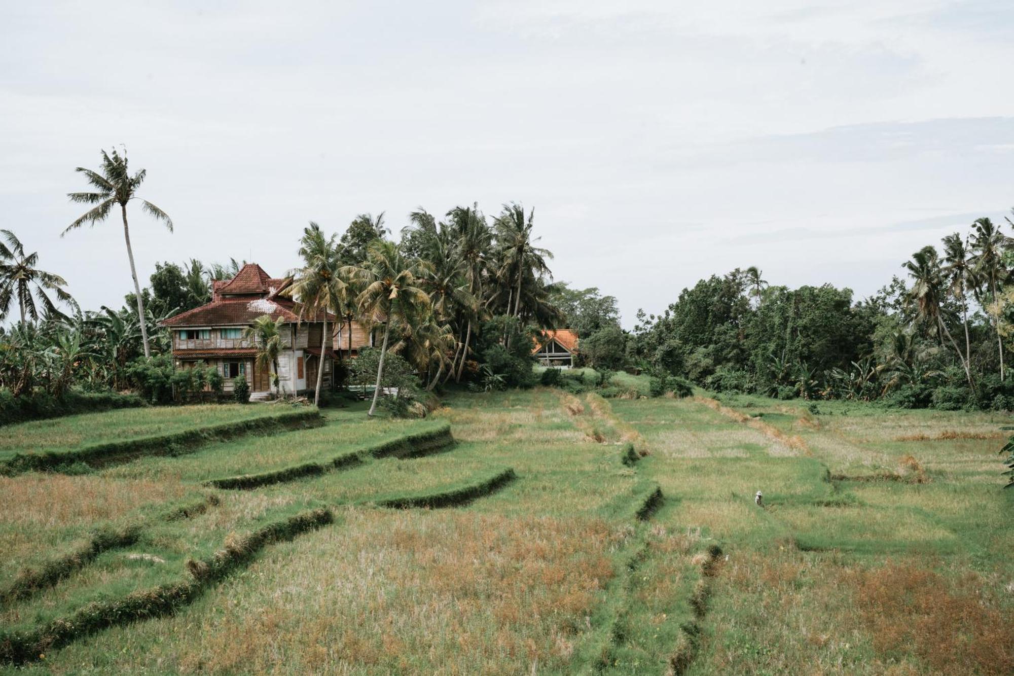 Garden Of Harmony Apartment