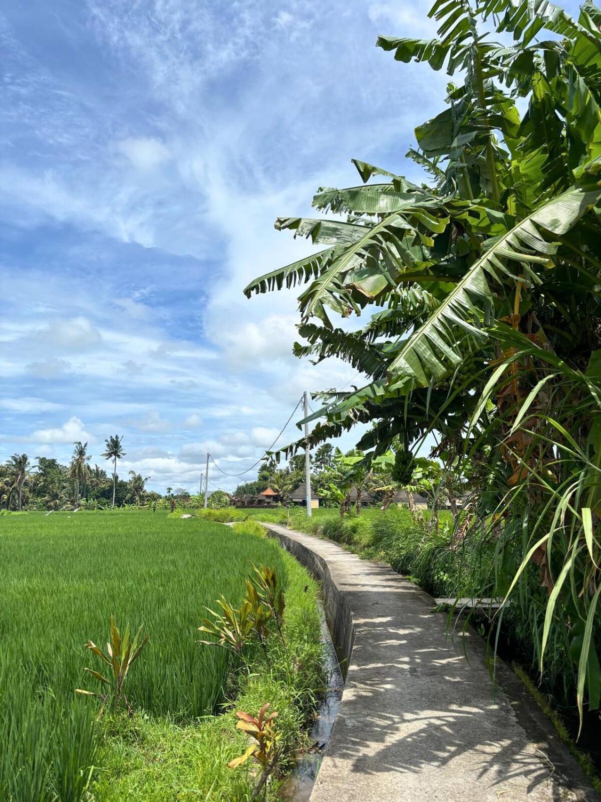 Hanoman - Serene 2br Rice Fields Hideaway Pousada *