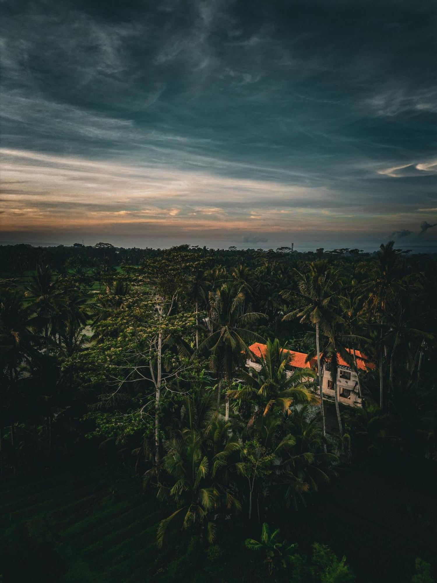 Ayu Duwur Beji 3* Ubud (Bali)