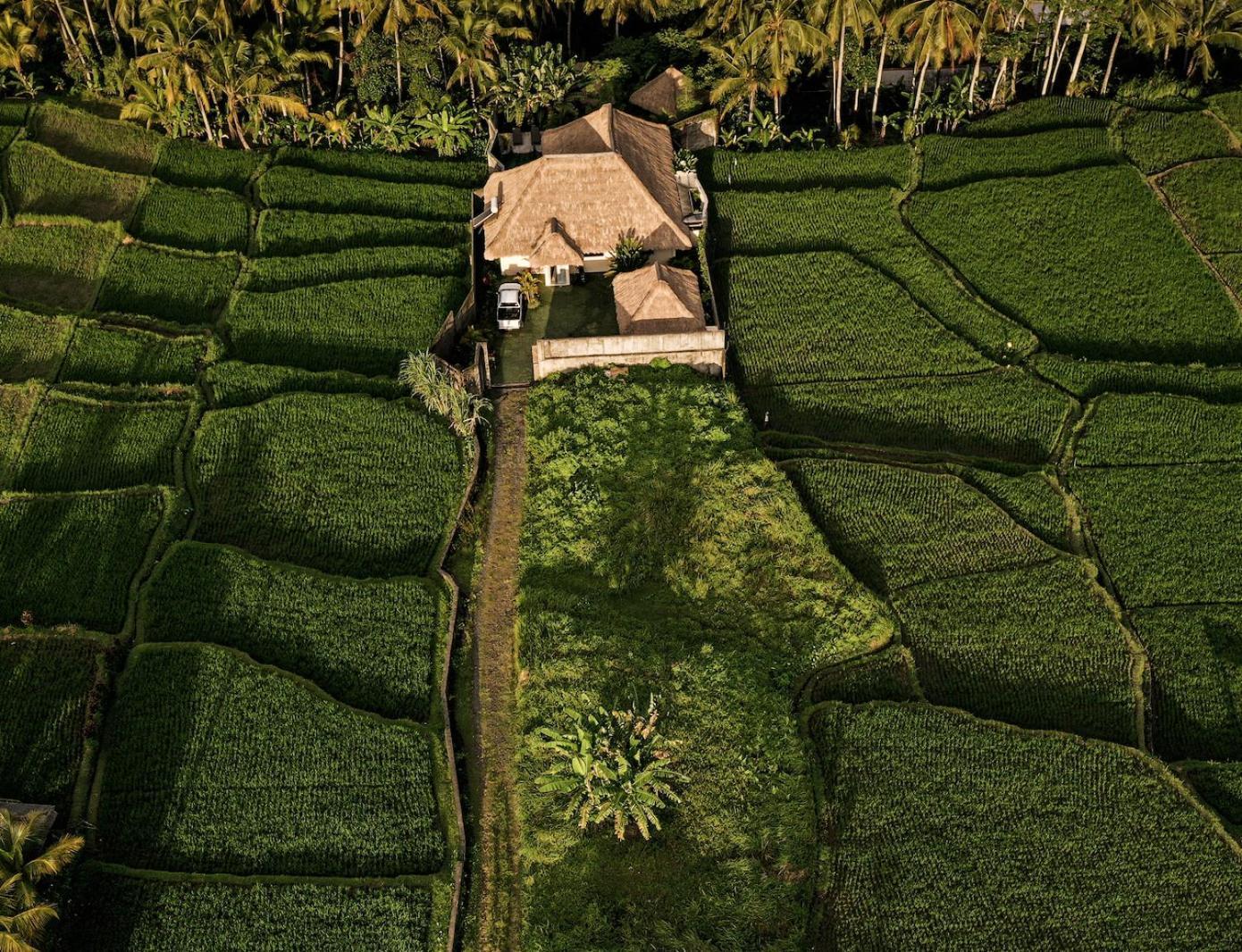 Eden Valley * Ubud