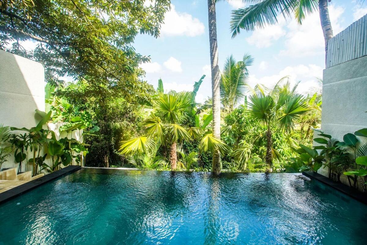 Peaceful Private With Rice Fields View