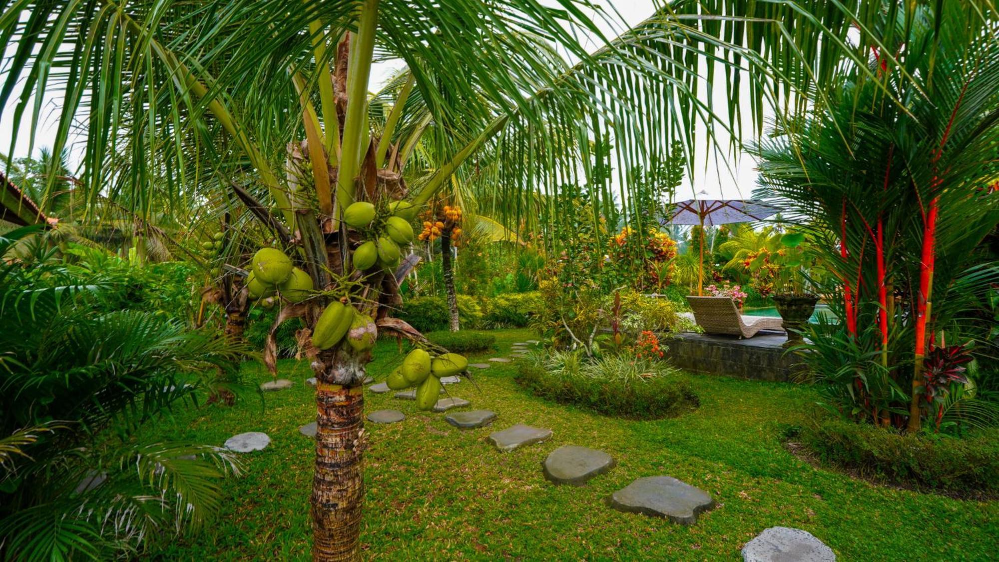 Guest house Coconut