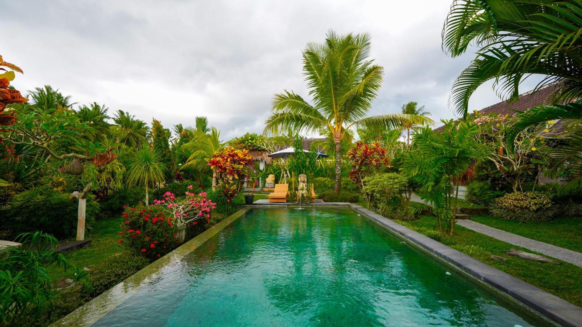 Coconut Guest house *