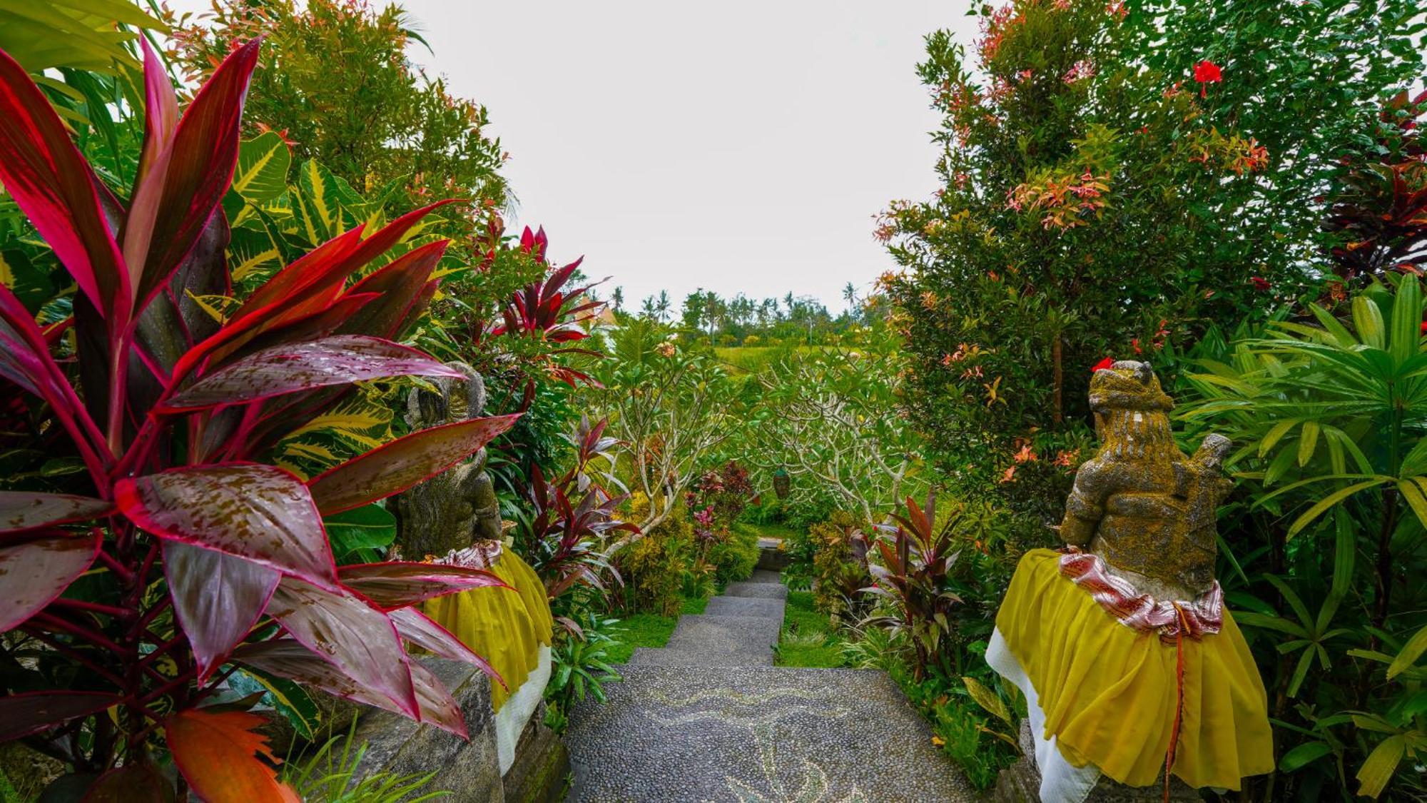 Guest house Coconut Ubud (Bali)