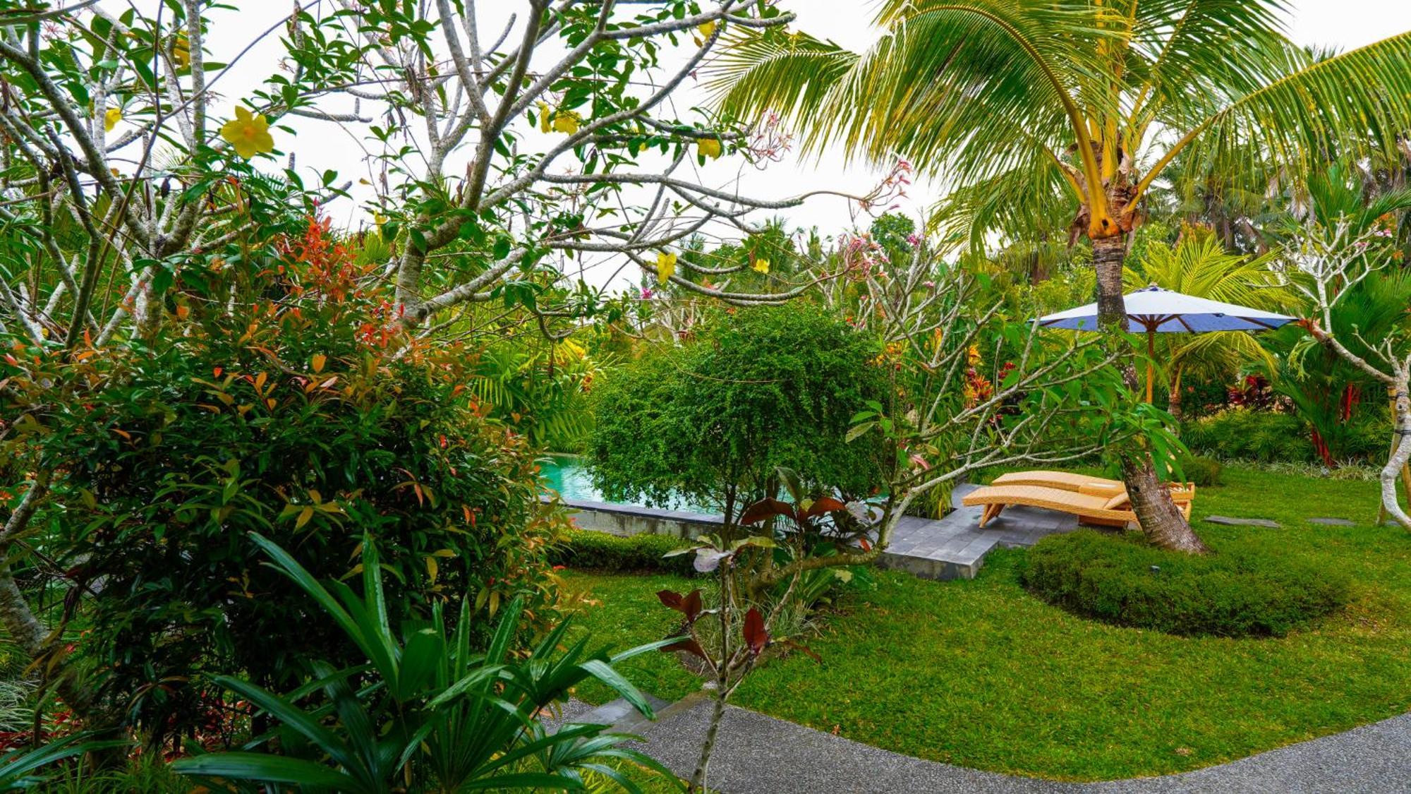Guest house Coconut