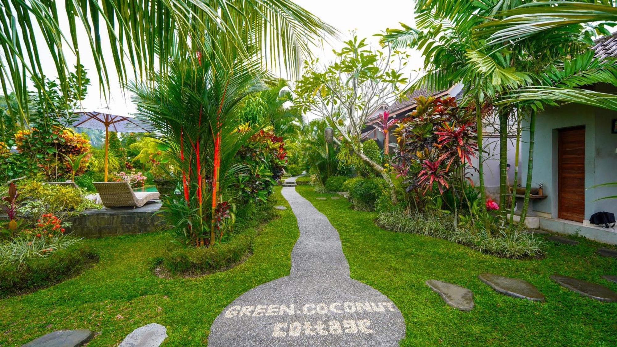Coconut Guest house