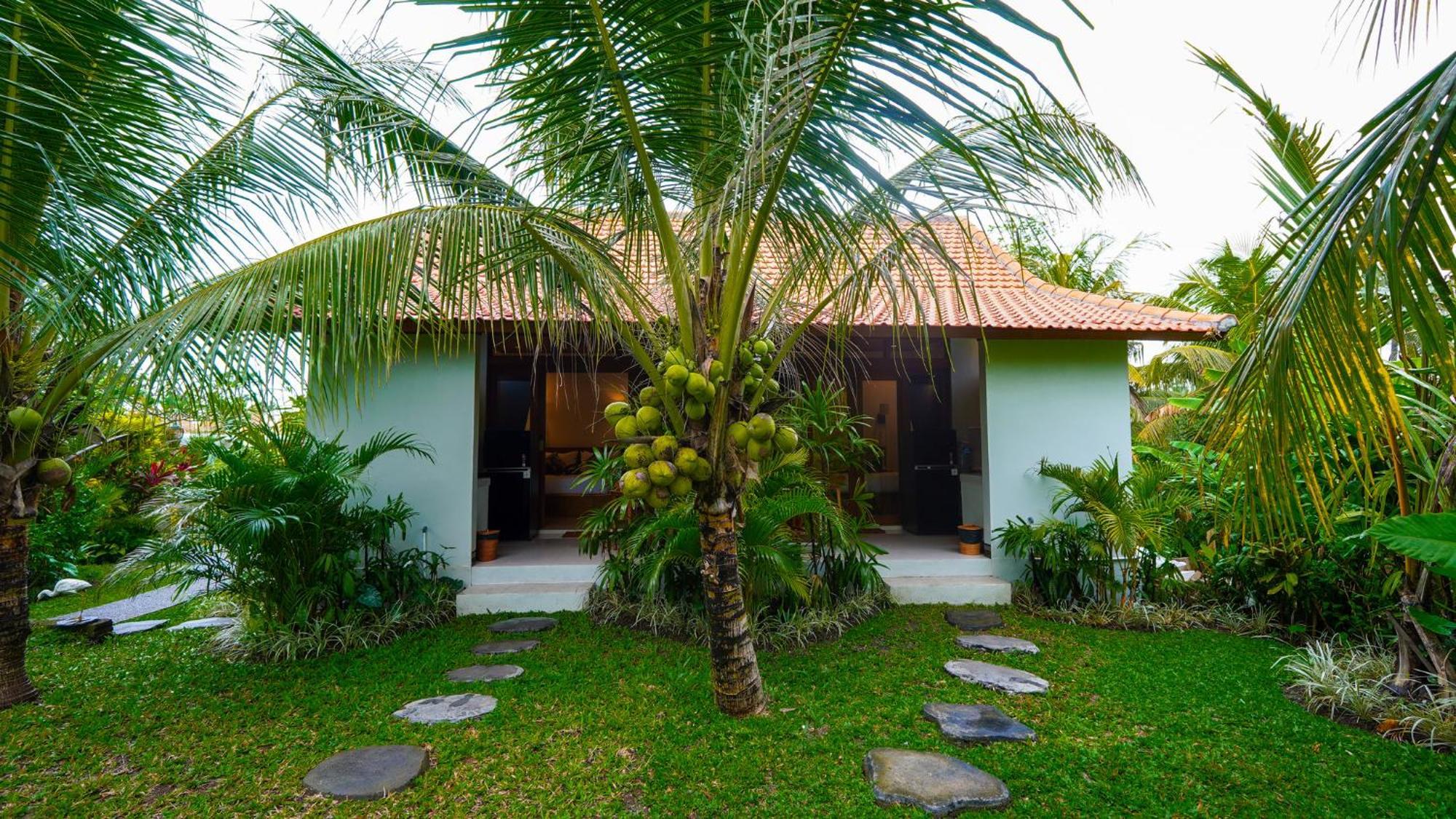 Guest house Coconut Ubud (Bali)