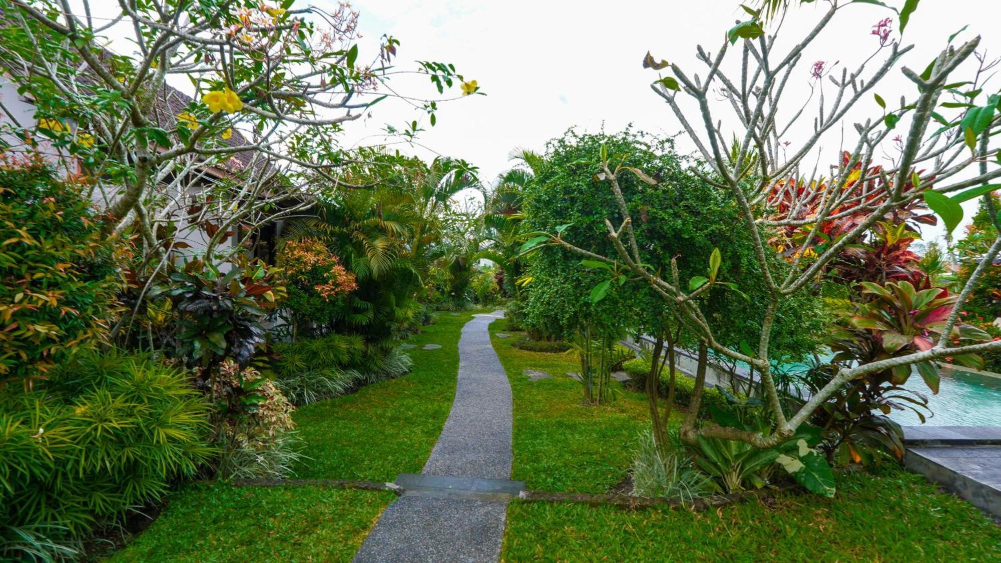 Guest house Coconut