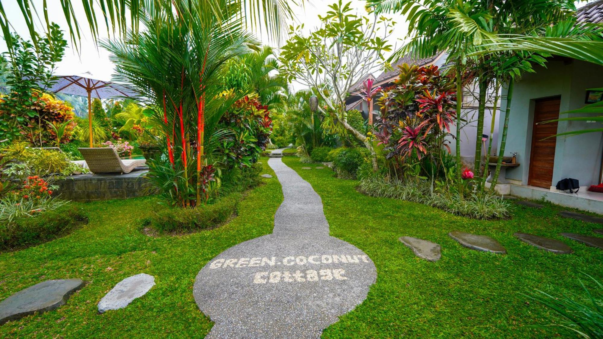 Coconut Guest house Ubud (Bali)