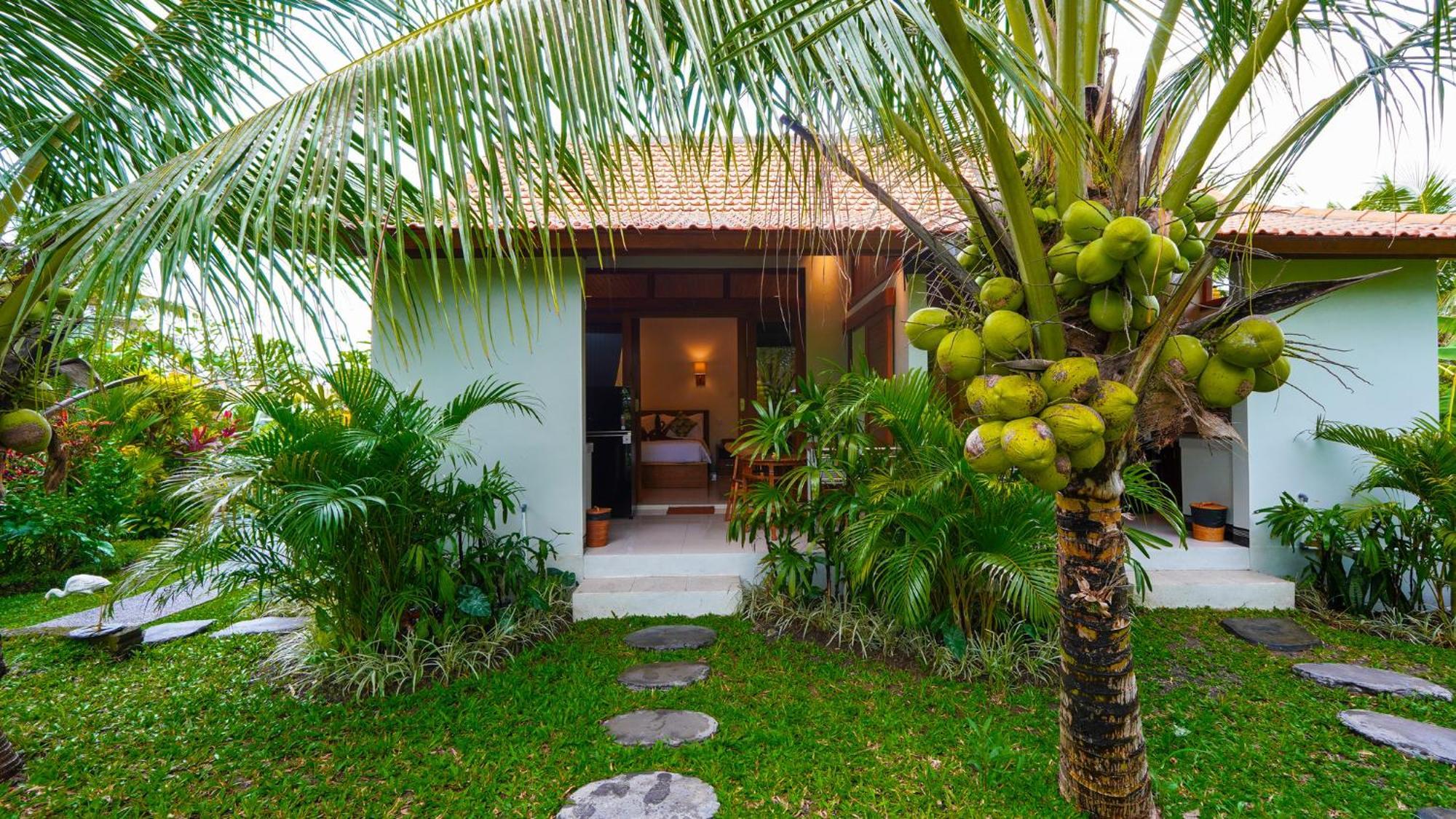 Guest house Coconut