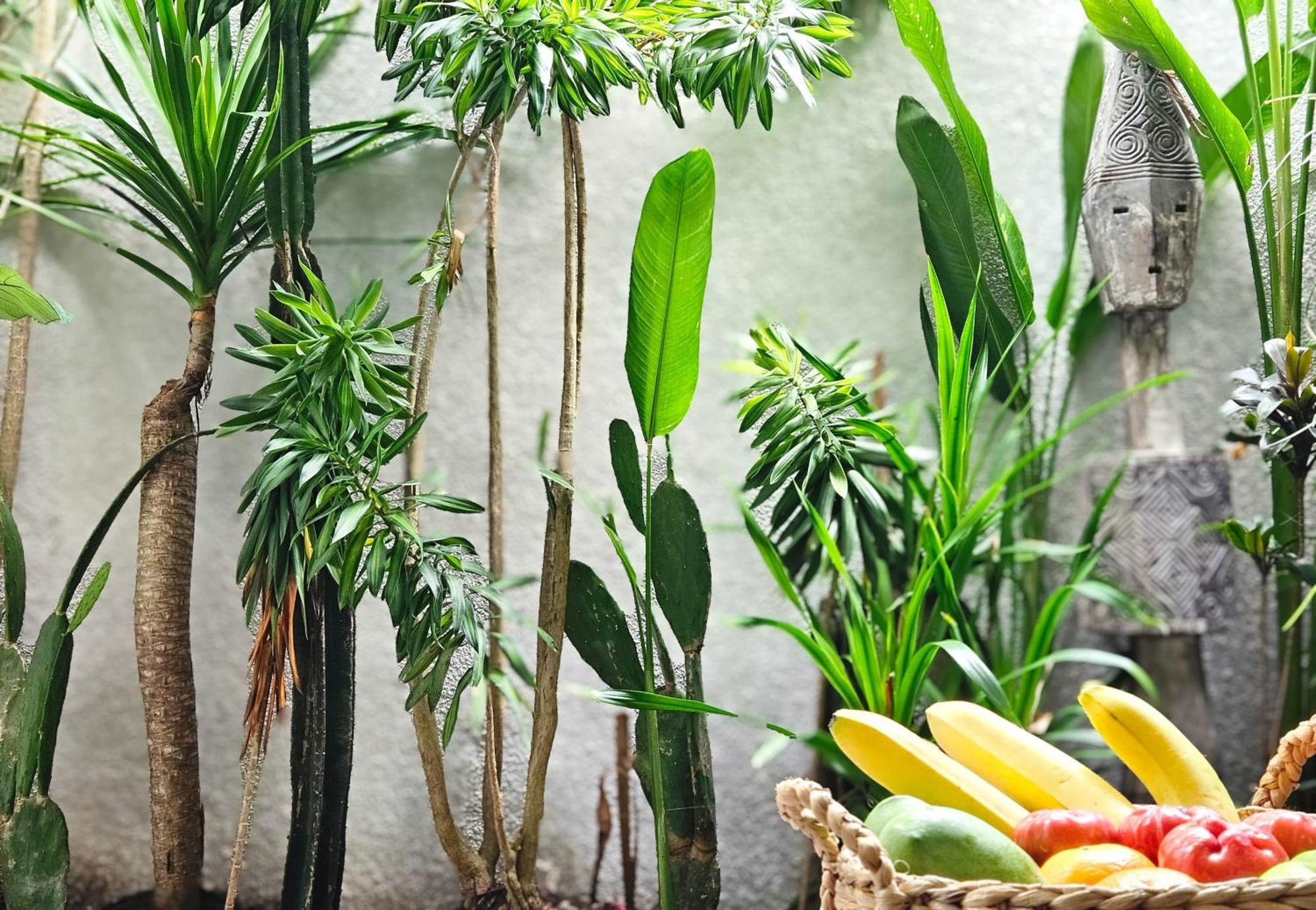 Aparthotel Lila Concept Ubud (Bali)