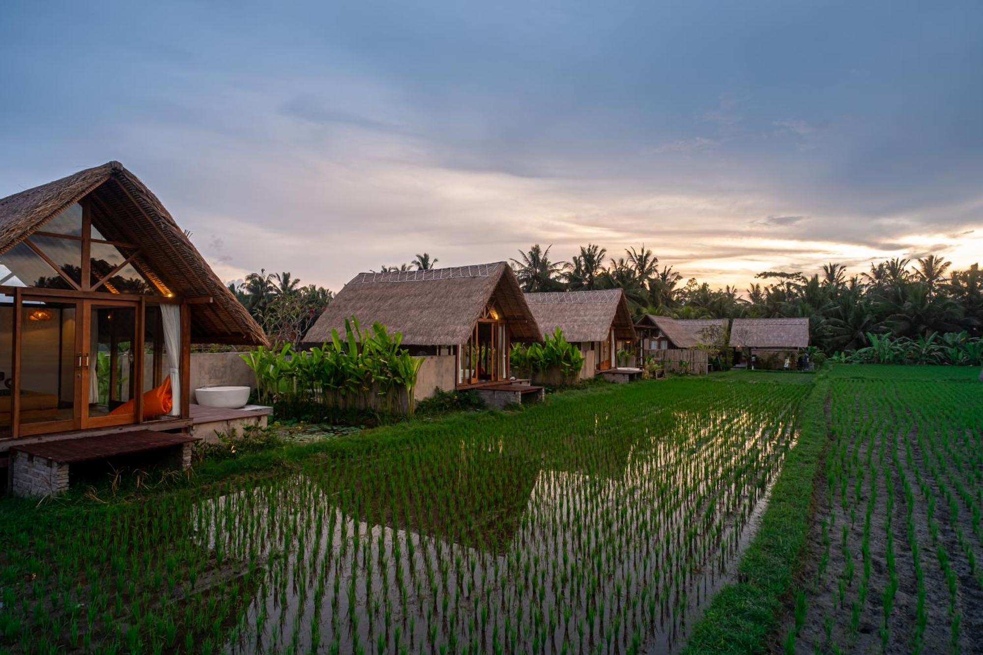 Vakantiehuis Mawas Ubud