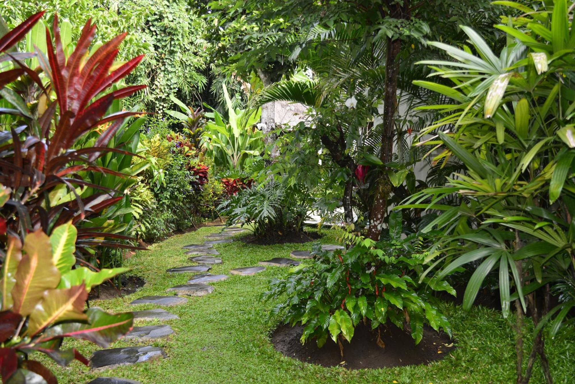 Bindi Villa *