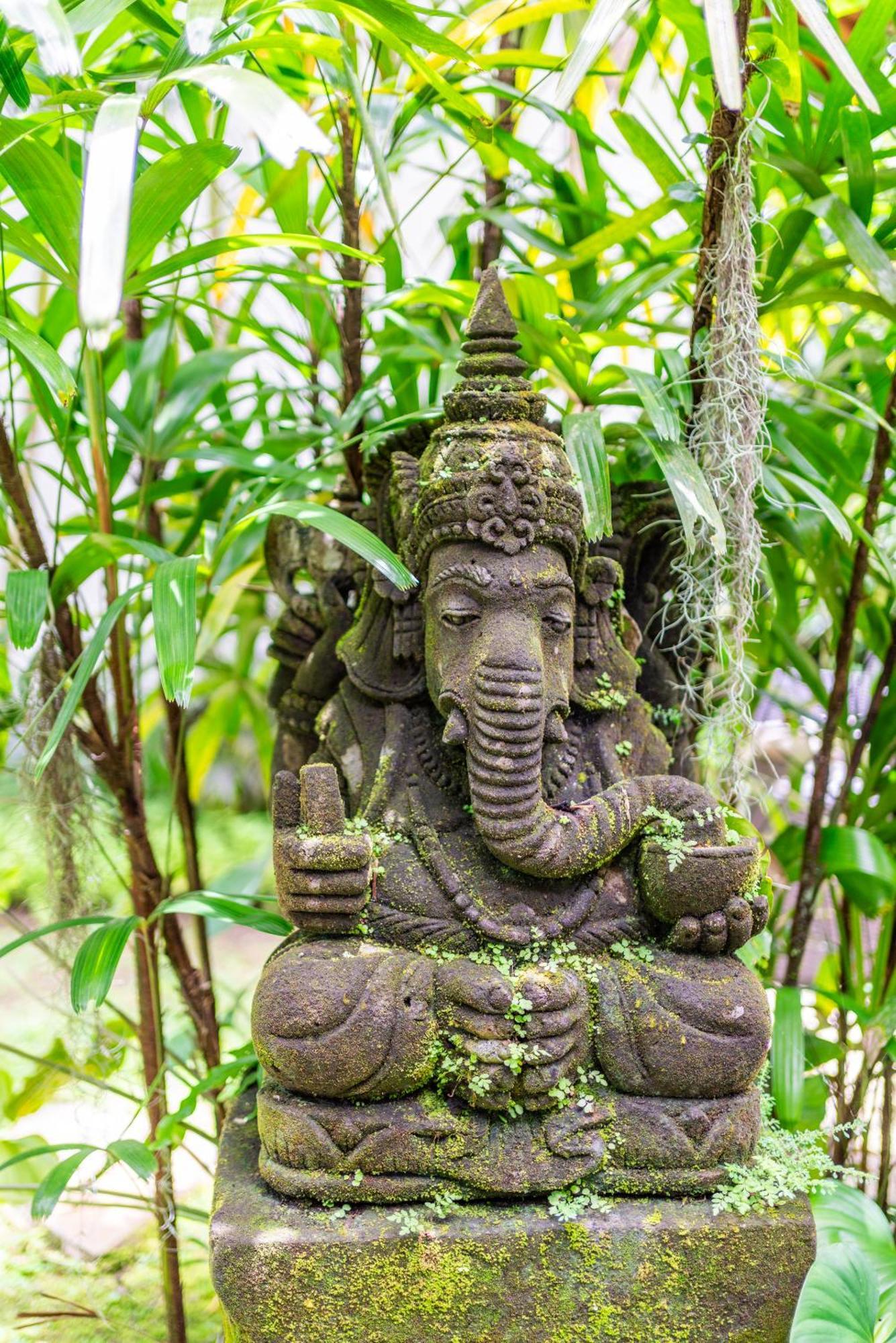 Bindi * Ubud (Bali)