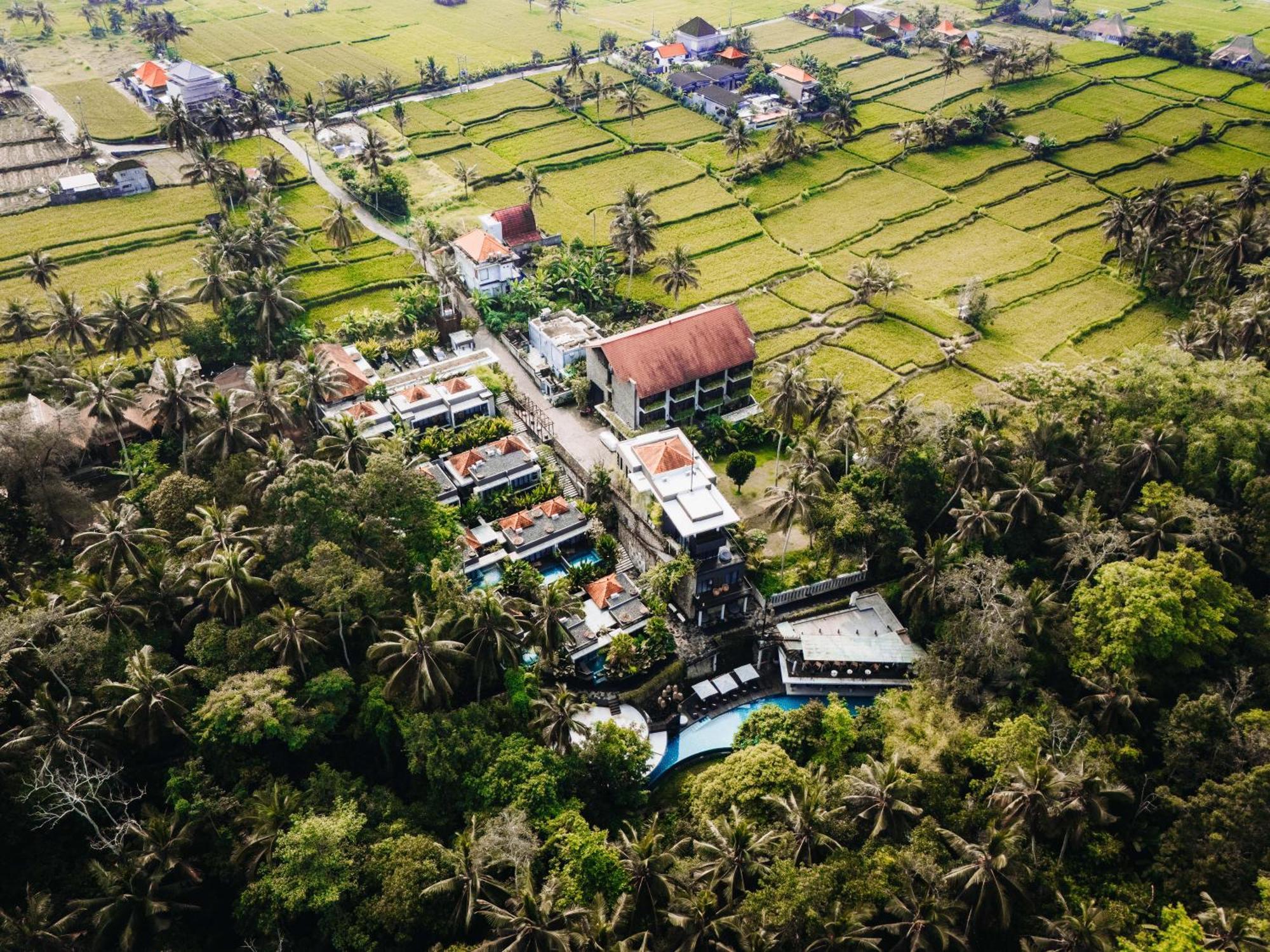 The Ning 5* Ubud (Bali)