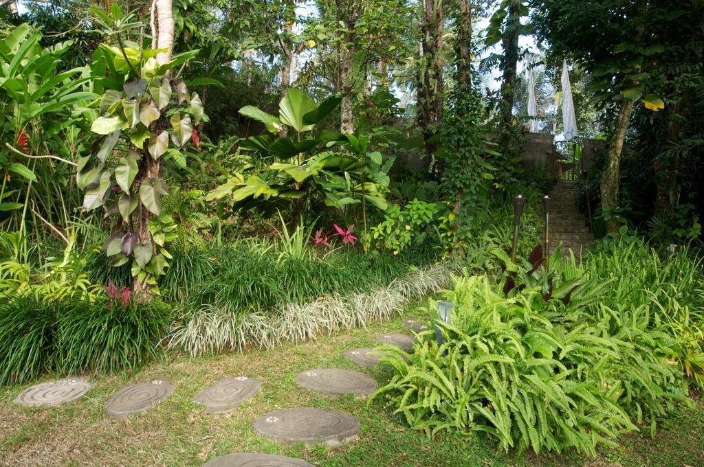 Pousada Umah Shanti Ubud