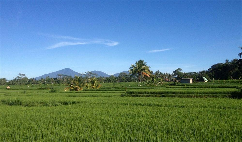 Villa Bali Private Ubud