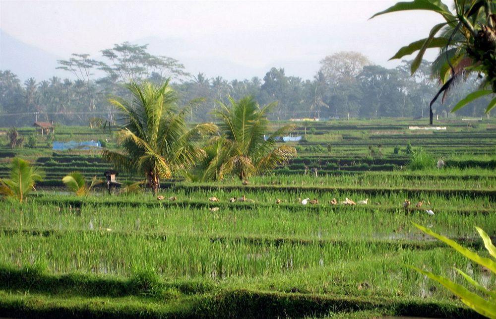 Bali Private Villa Ubud