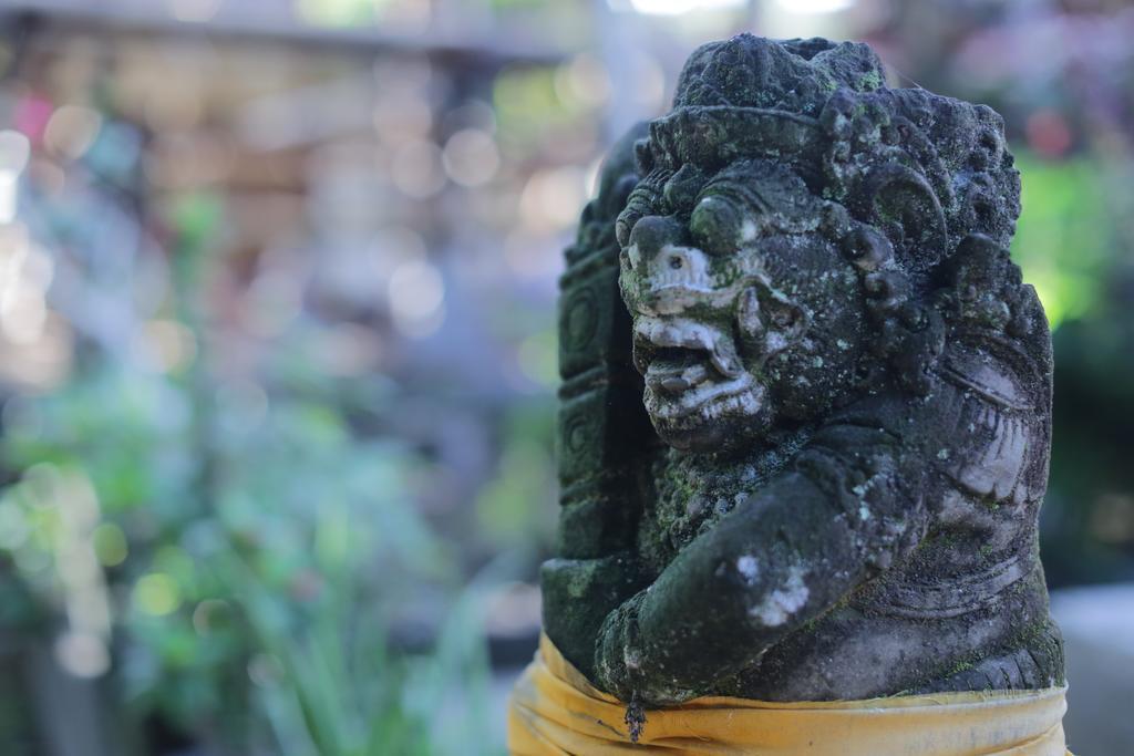 Karang Mesari * Ubud (Bali)