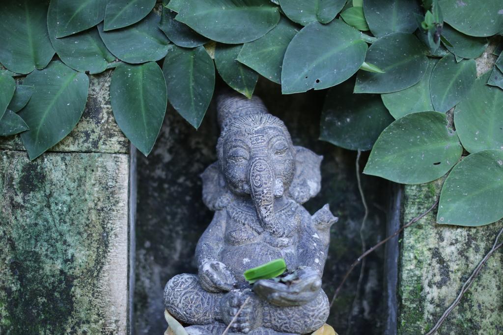 Karang Mesari Ubud (Bali)