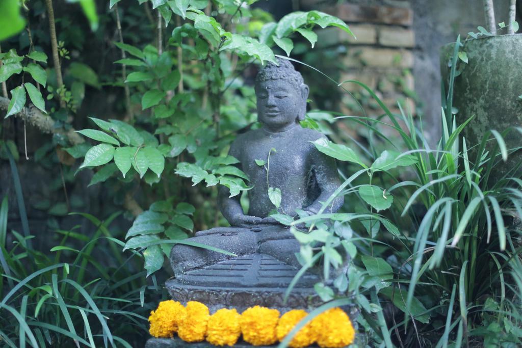 Karang Mesari Guest house Ubud (Bali)