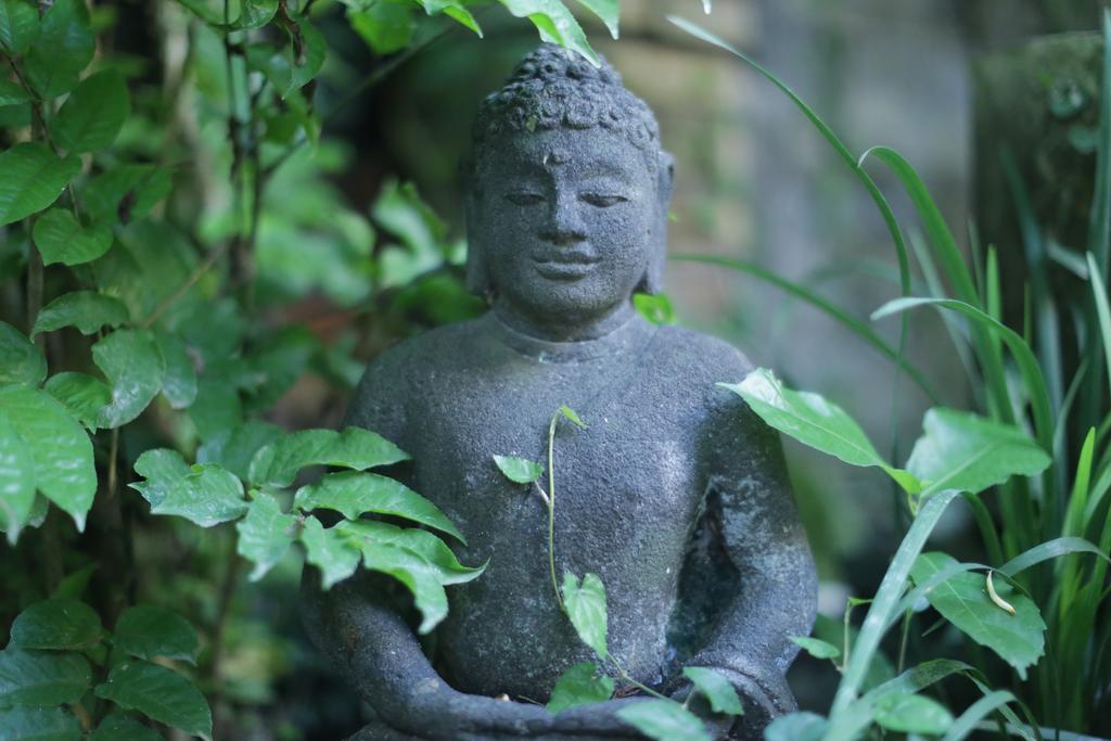 Karang Mesari Ubud (Bali)