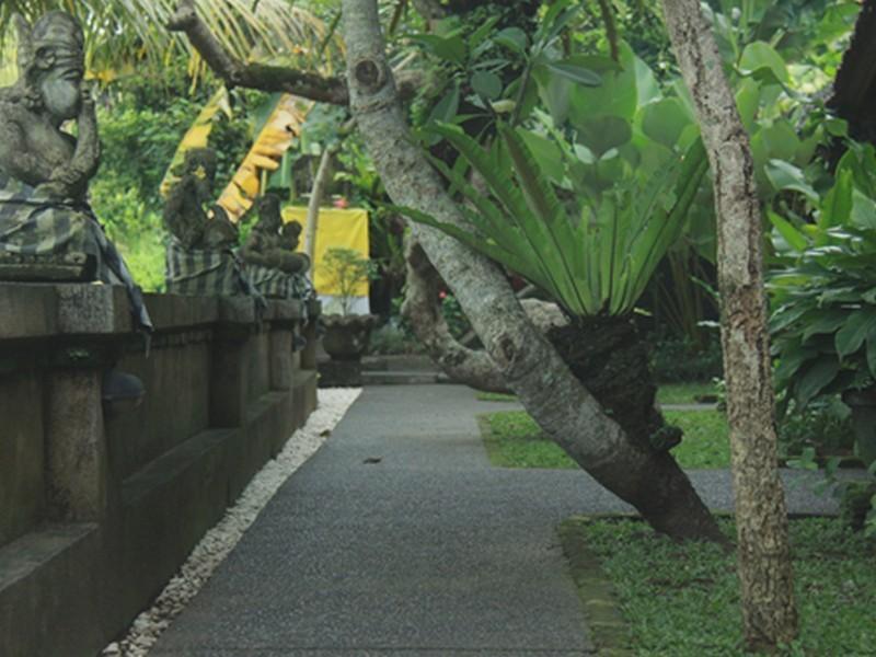 Guest house Jati