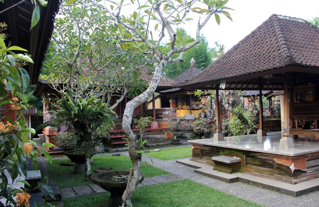 Guest house Nyoman Sandi