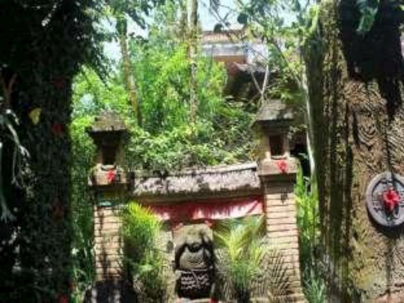 Mandia 3* Ubud