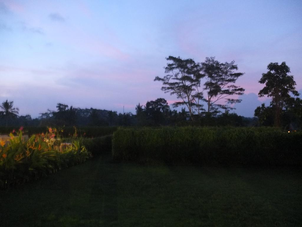 Wana Ubud (Bali)