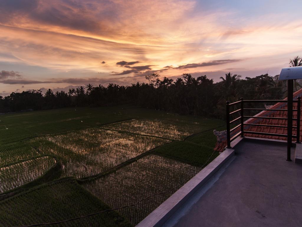 Guest house Semanggi