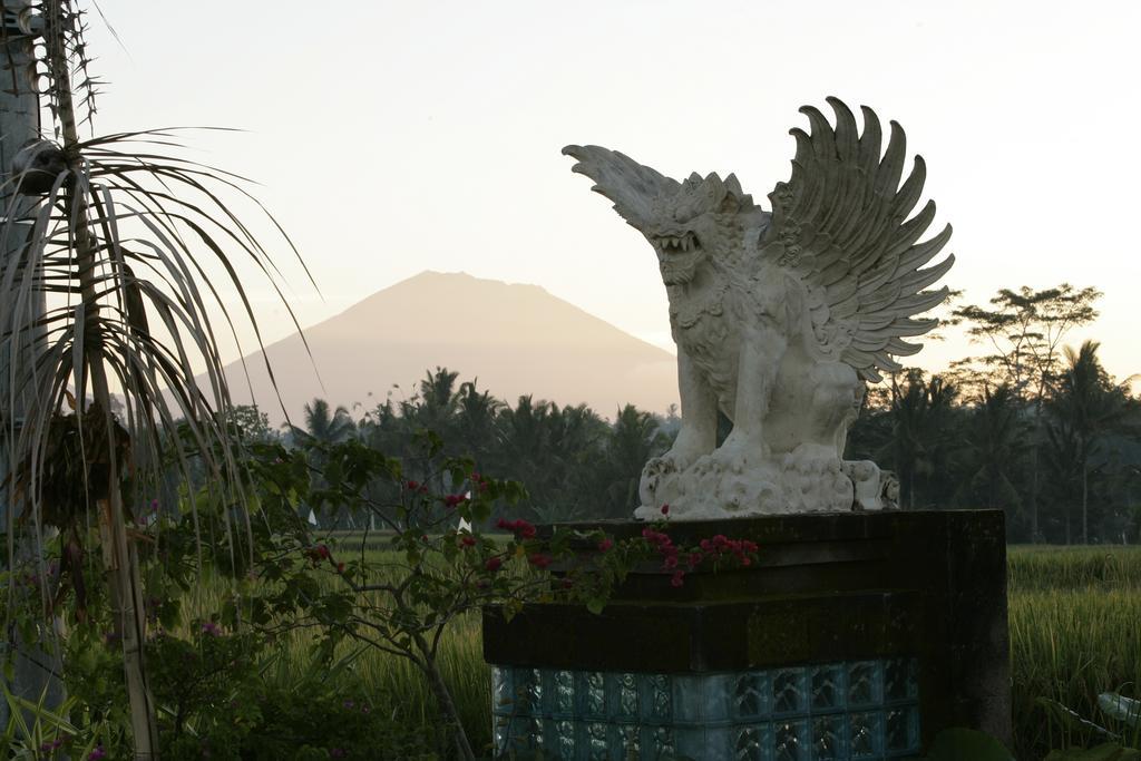 Resort Viceroy Bali Ubud