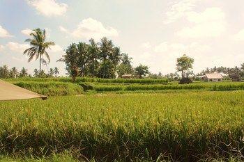 Shriman Yoga Hotel