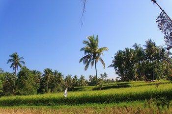 Shriman Yoga Hotel
